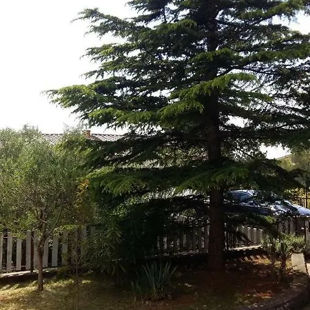 Apartment Marija